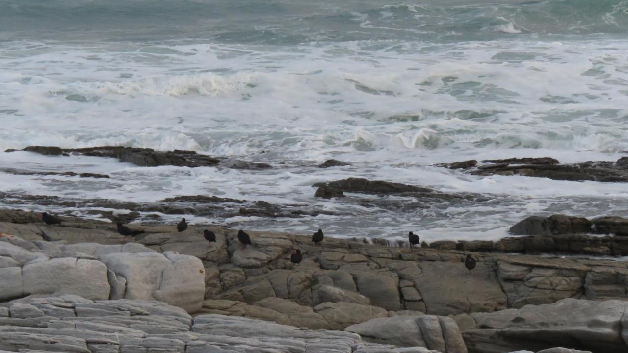 شقة L Agulhas,Main @ 51 المظهر الخارجي الصورة